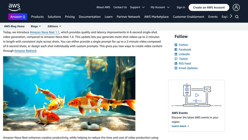 Amazon Nova Reel 1.1